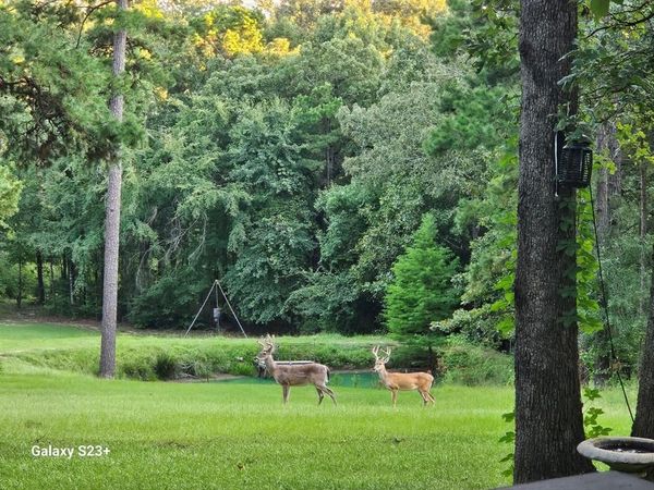 4491 S FM 2869, Hawkins, TX 75765