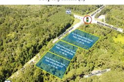 5132 Ashley River Road photo 4