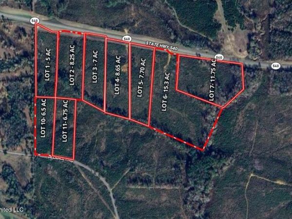 Delancey Rd, Braxton, MS 39044