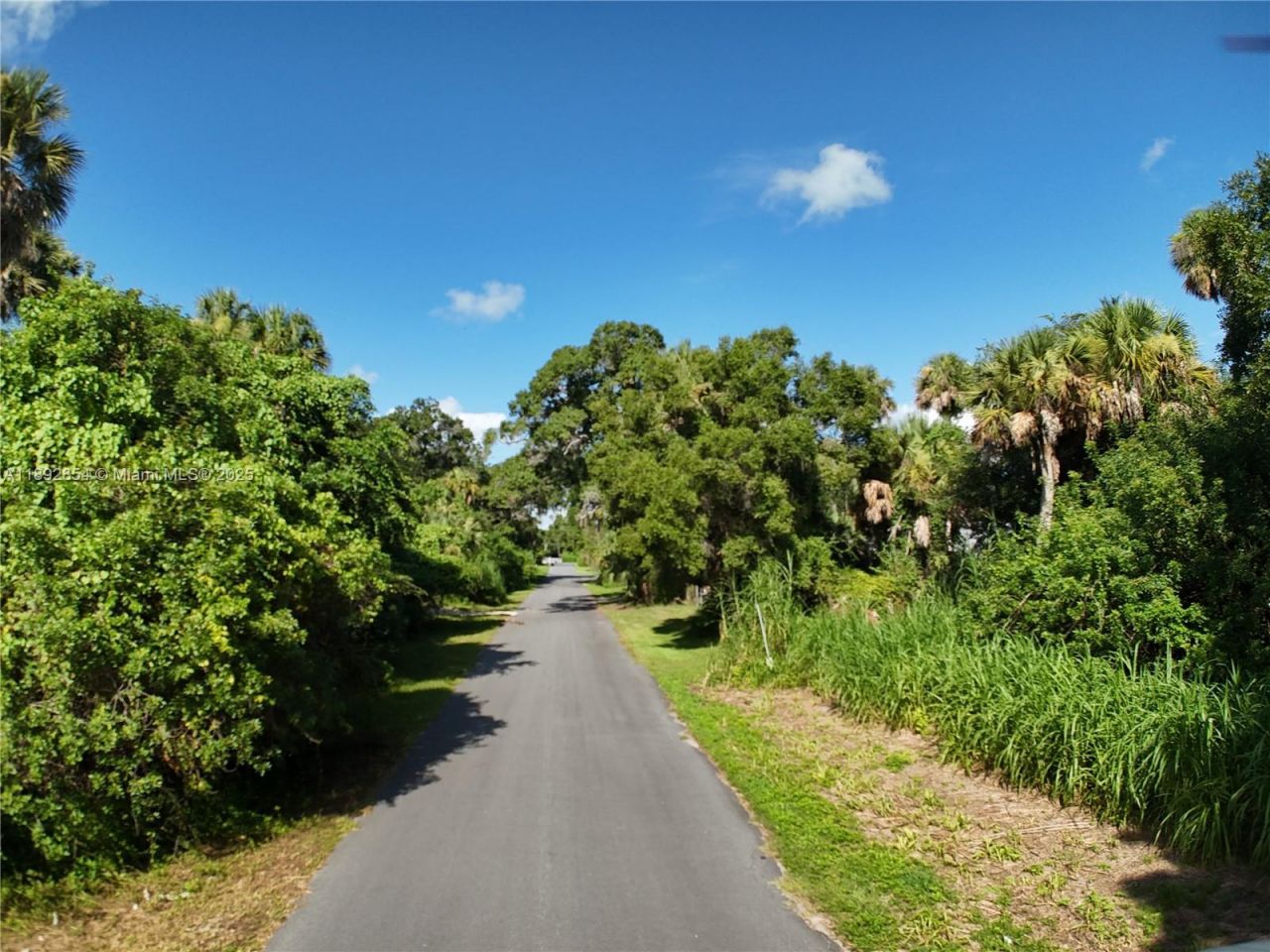 15306 SW Palm Oak Ave, Indiantown, FL 34956 Photo