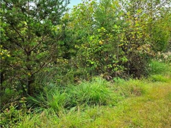 00 Holly Brook Street , North Wilkesboro, NC 28659