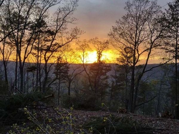 5370 Old State Road, Menlo, GA 30731