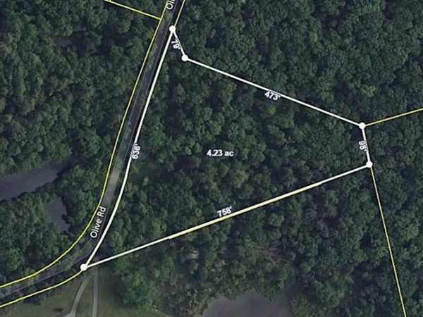 0 OLIVE ROAD, DANIELSVILLE, PA 18038