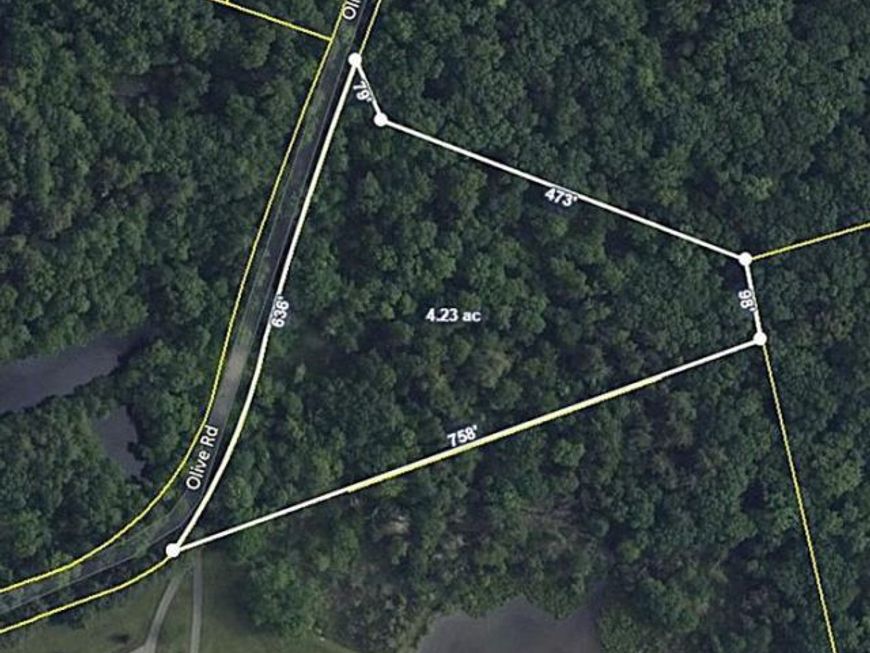 0 Olive Road, Danielsville, PA 18038 Main Photo