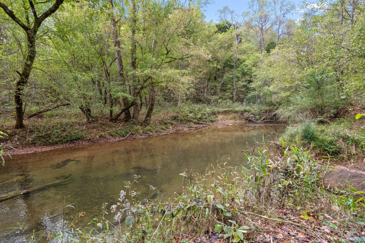 Lot 9 Shoal Creek Road, Tellico Plains, TN 37385 Main Photo