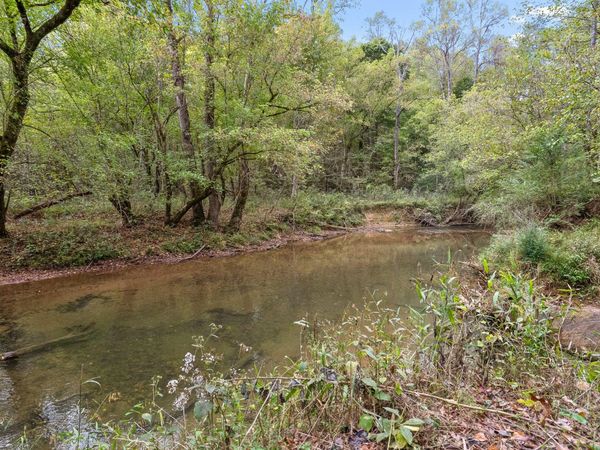 Lot 9 Shoal Creek Road, Tellico Plains, TN 37385