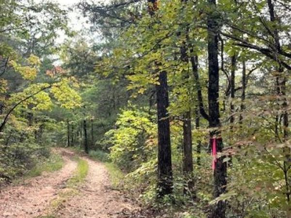 NC 2922 Heartsong Lane, Marble Falls, AR 72648