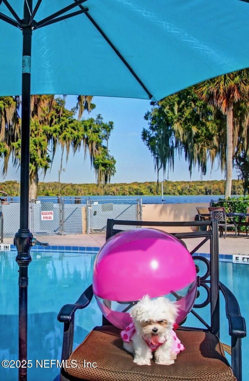 210 River Bend Place, Unit B, Welaka, FL 32193 Photo