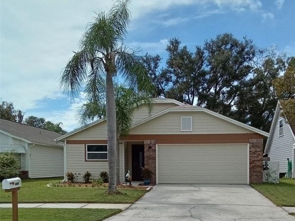 11204 ELMFIELD DRIVE, TAMPA, FL 33625