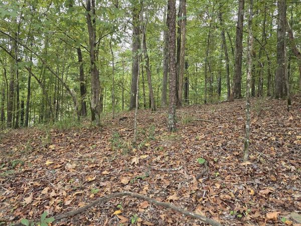 21 SPRINGBROOK, Hot Springs, AR 71913