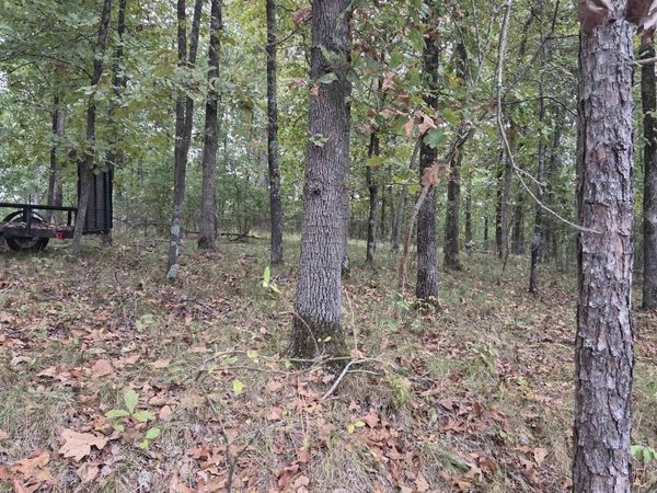 1587 DIAMONDHEAD, Hot Springs, AR 71913