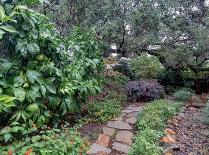 699 Montridge Way, El Dorado Hills, CA 95762 Photo