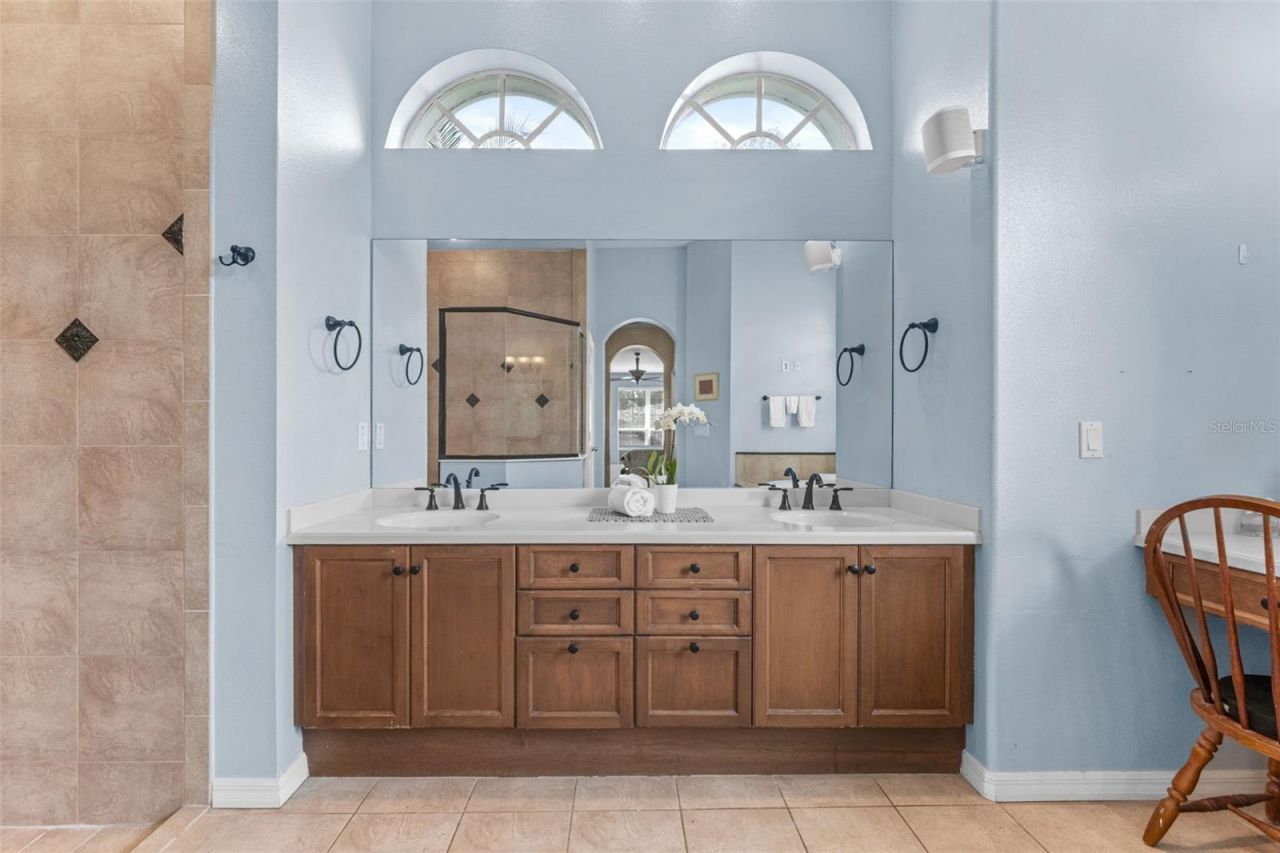 19708 Wellington Manor Boulevard, Lutz, FL 33549 Photo