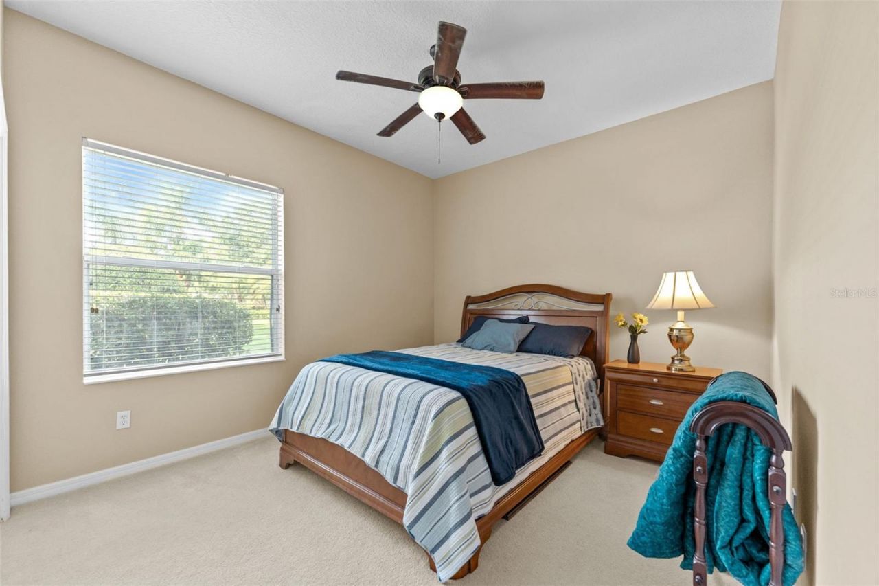 19708 Wellington Manor Boulevard, Lutz, FL 33549 Photo