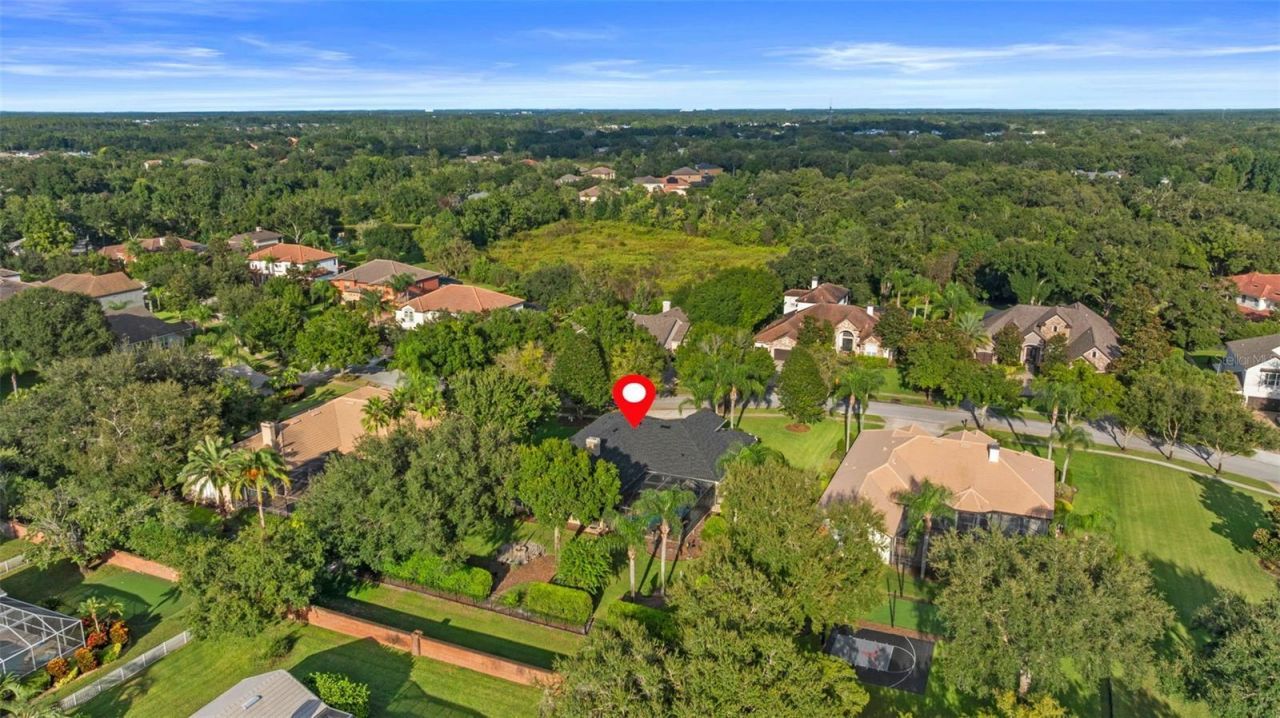 19708 Wellington Manor Boulevard, Lutz, FL 33549 Photo