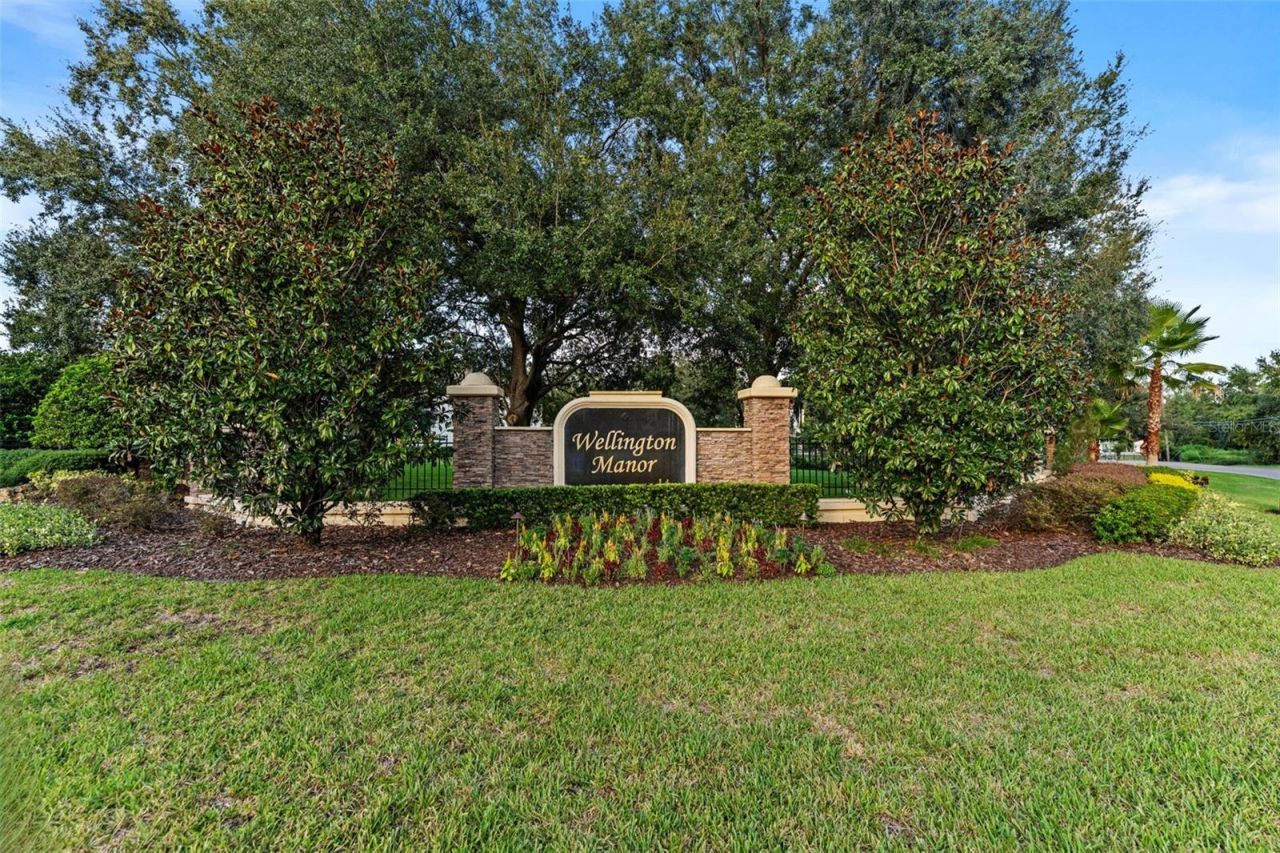 19708 Wellington Manor Boulevard, Lutz, FL 33549 Photo