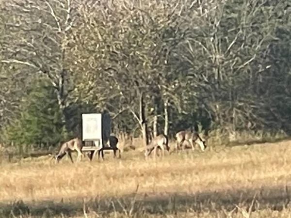 TBD County Road 4145, Cooper, TX 75432