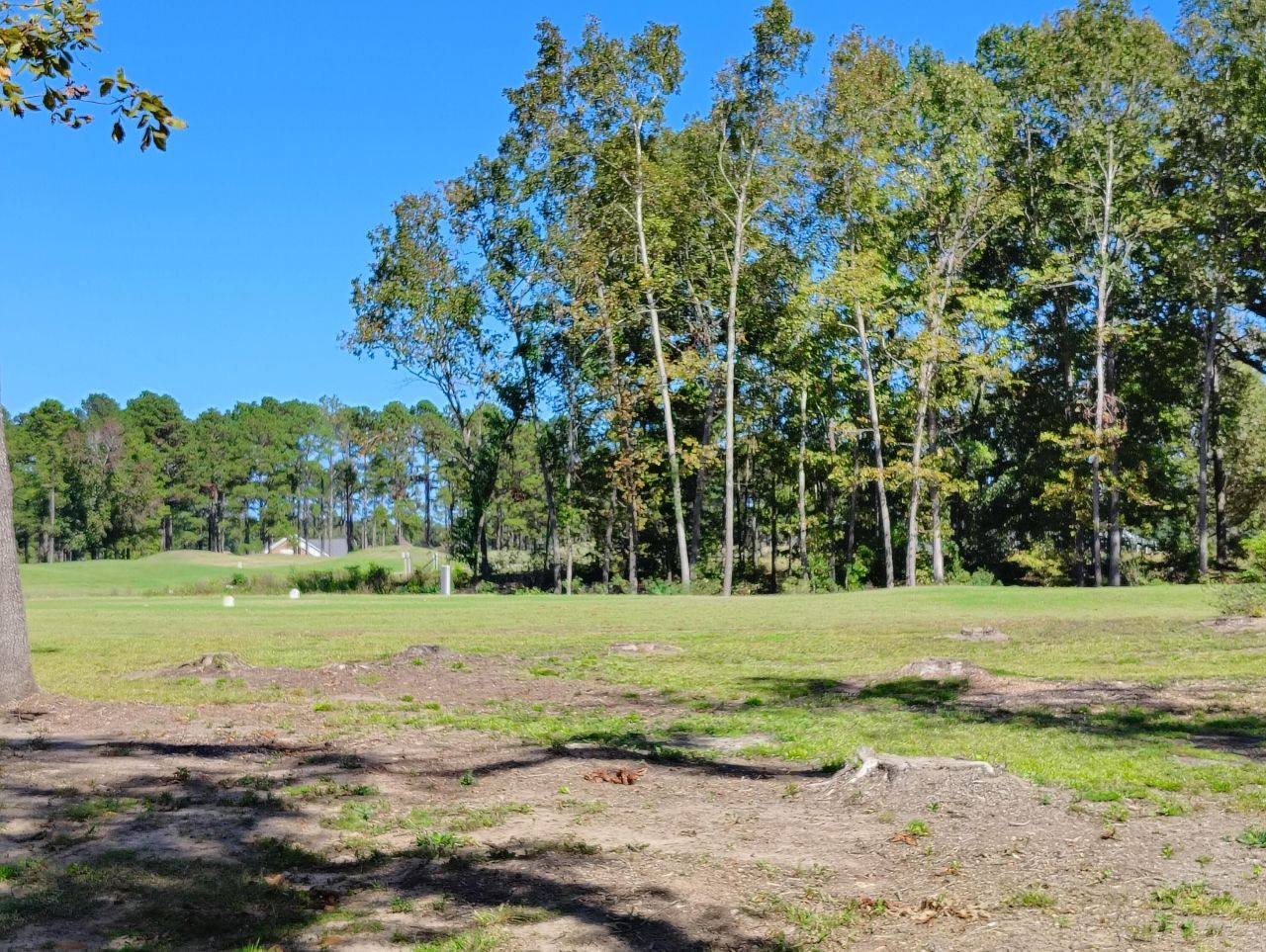 44 Ridge Lake Drive Photo 4