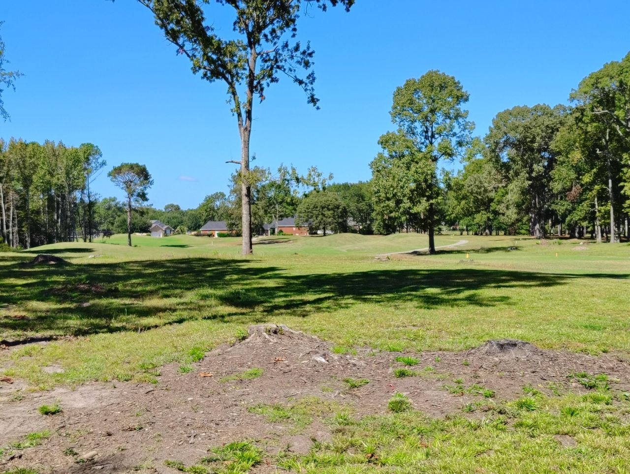 44 Ridge Lake Drive Photo 5