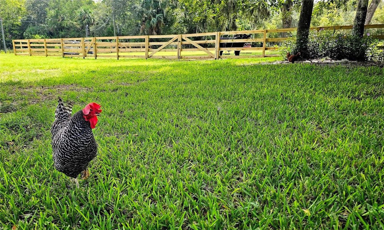 2310 Doster Drive, New Smyrna Beach, FL 32168 Photo