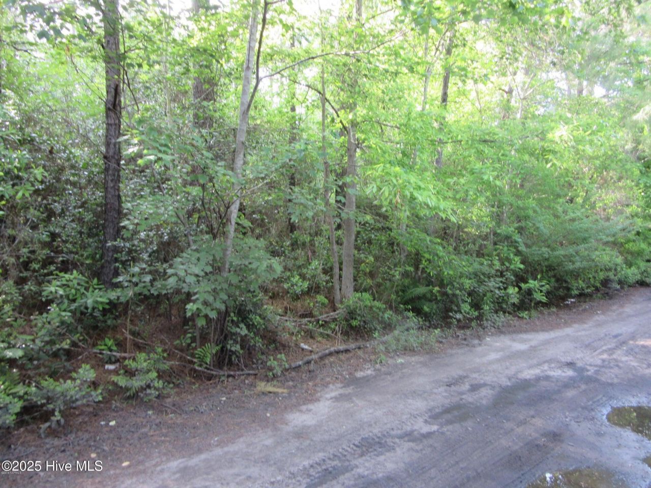1253 Crooked Pine Road, Wilmington, NC 28411 Main Photo