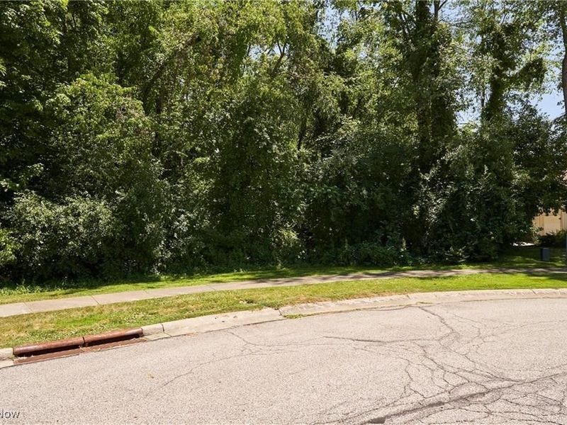 V/L White Tail Ridge Drive, Fairlawn, OH 44333 Photo 6