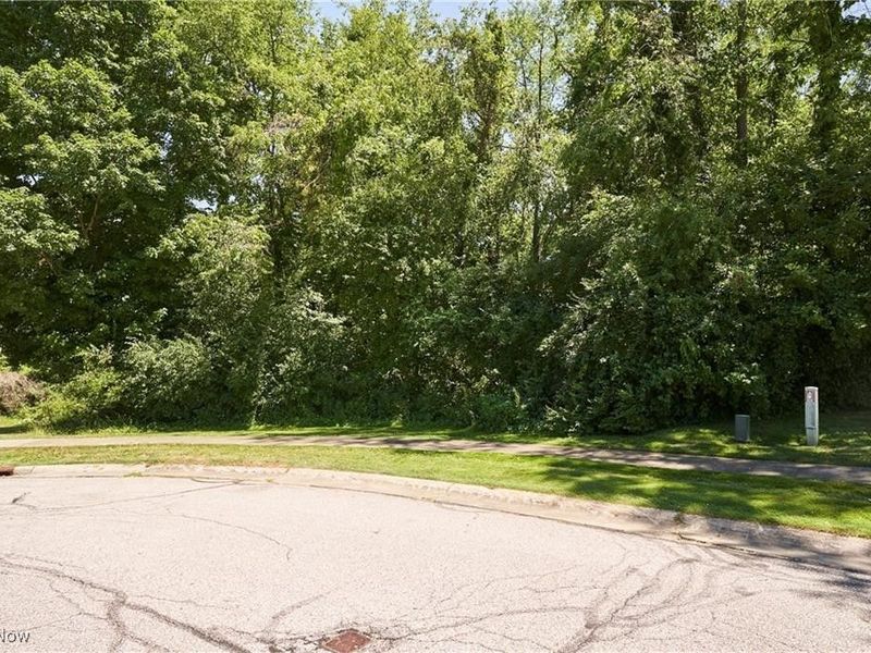 V/L White Tail Ridge Drive, Fairlawn, OH 44333 Photo 7