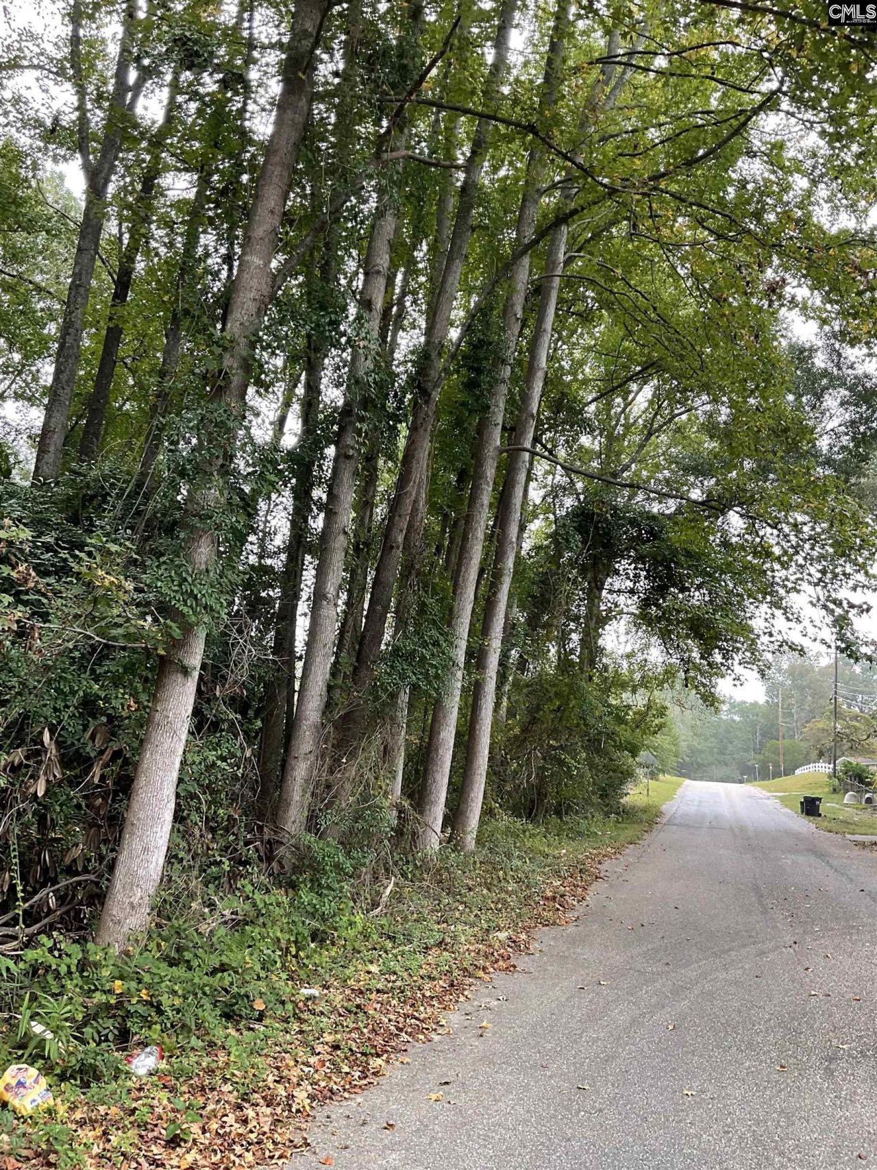 1015 B Elgin Estates Drive  Photo 8