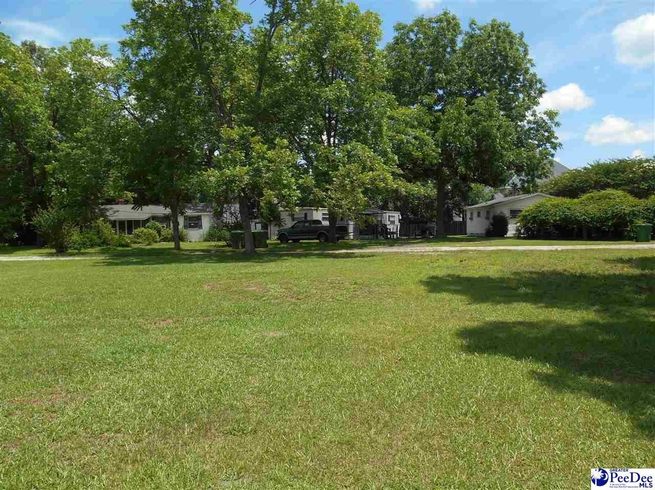 1607 2nd Loop Road Photo 17