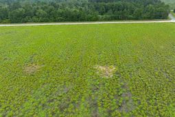 Lot 3 Tansy Rd photo 4