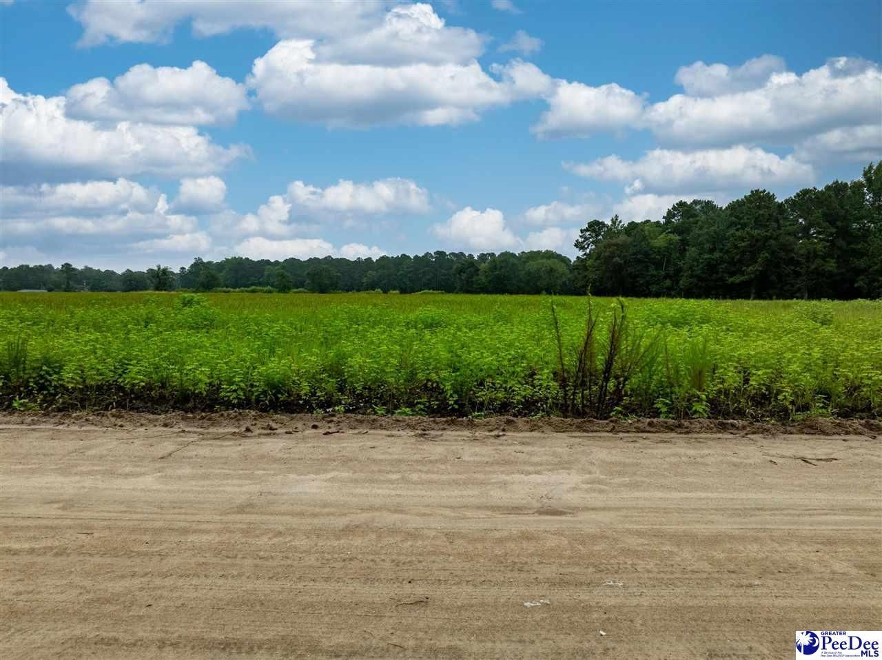 Lot 3 Tansy Rd Photo 4