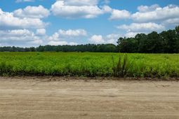 Lot 3 Tansy Rd photo 4