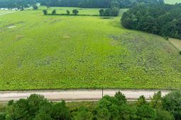 Lot 2 Tansy Rd photo 4