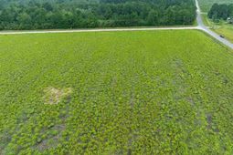 Lot 2 Tansy Rd photo 4