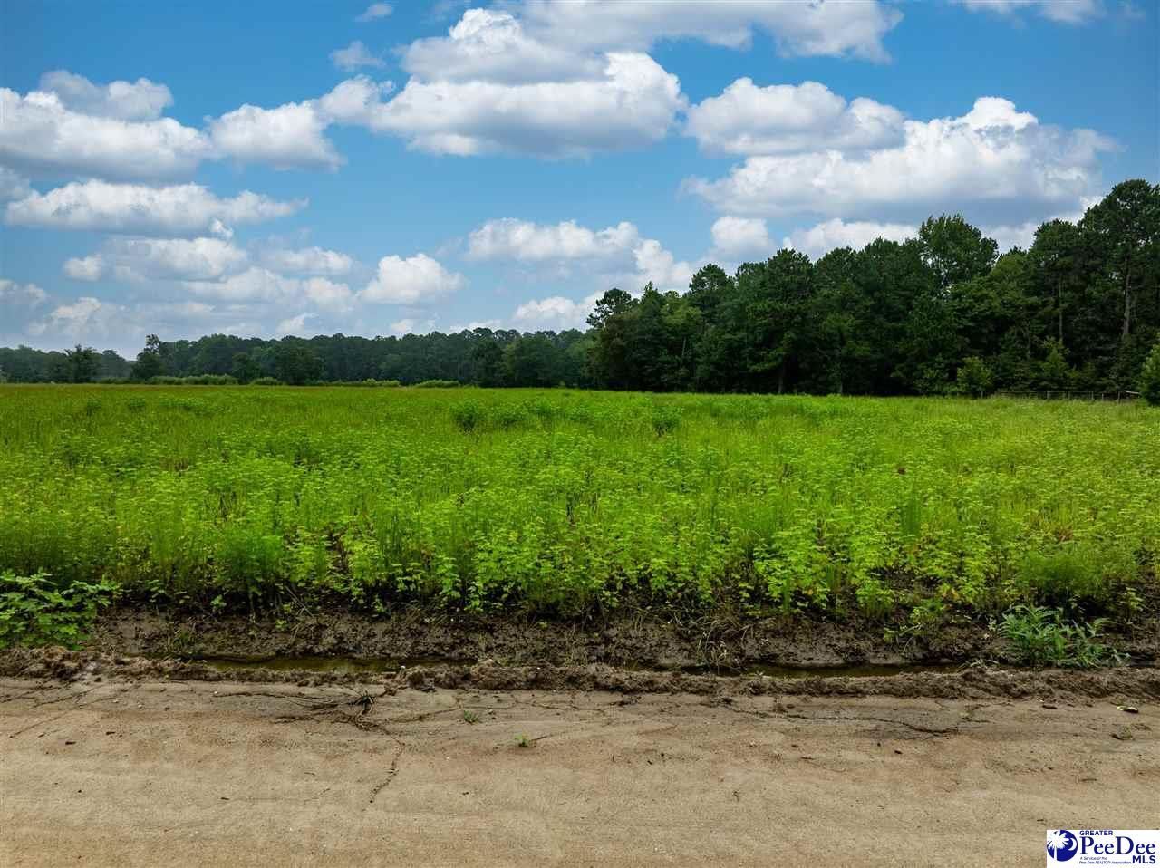 Lot 2 Tansy Rd Photo 4