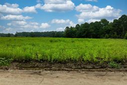 Lot 2 Tansy Rd photo 4