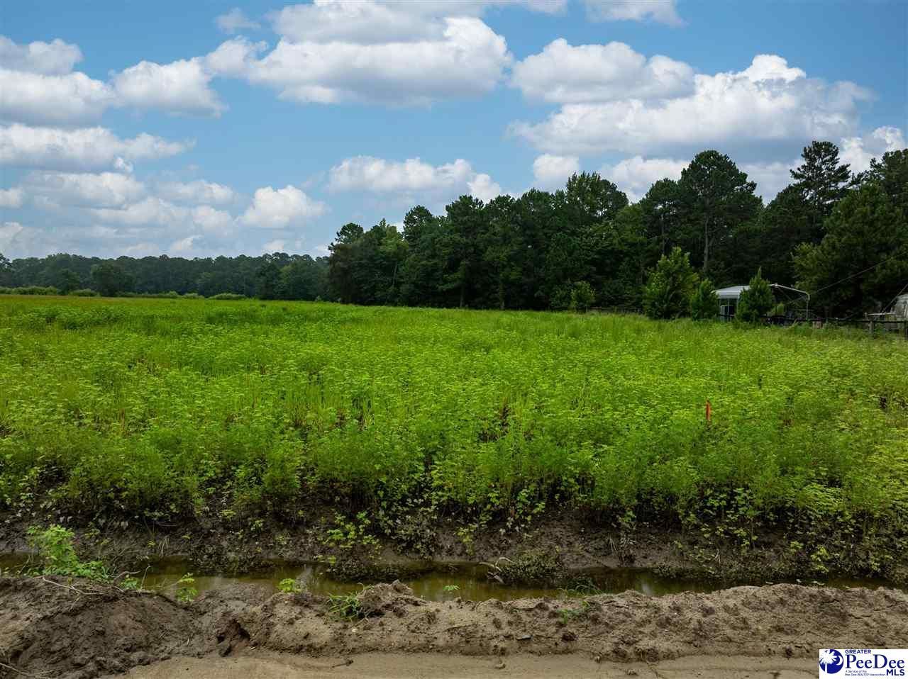 Lot 1 Tansy Rd Photo 4