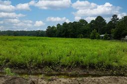 Lot 1 Tansy Rd photo 4