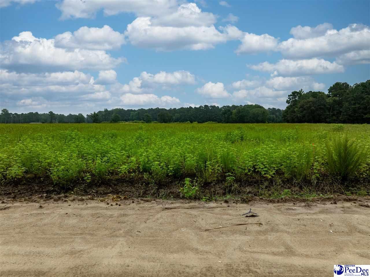 Lot 4 Tansy Rd Photo 4