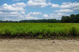 Lot 4 Tansy Rd photo 4