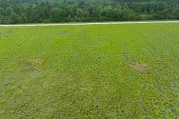 Lot 5 Tansy Rd photo 4