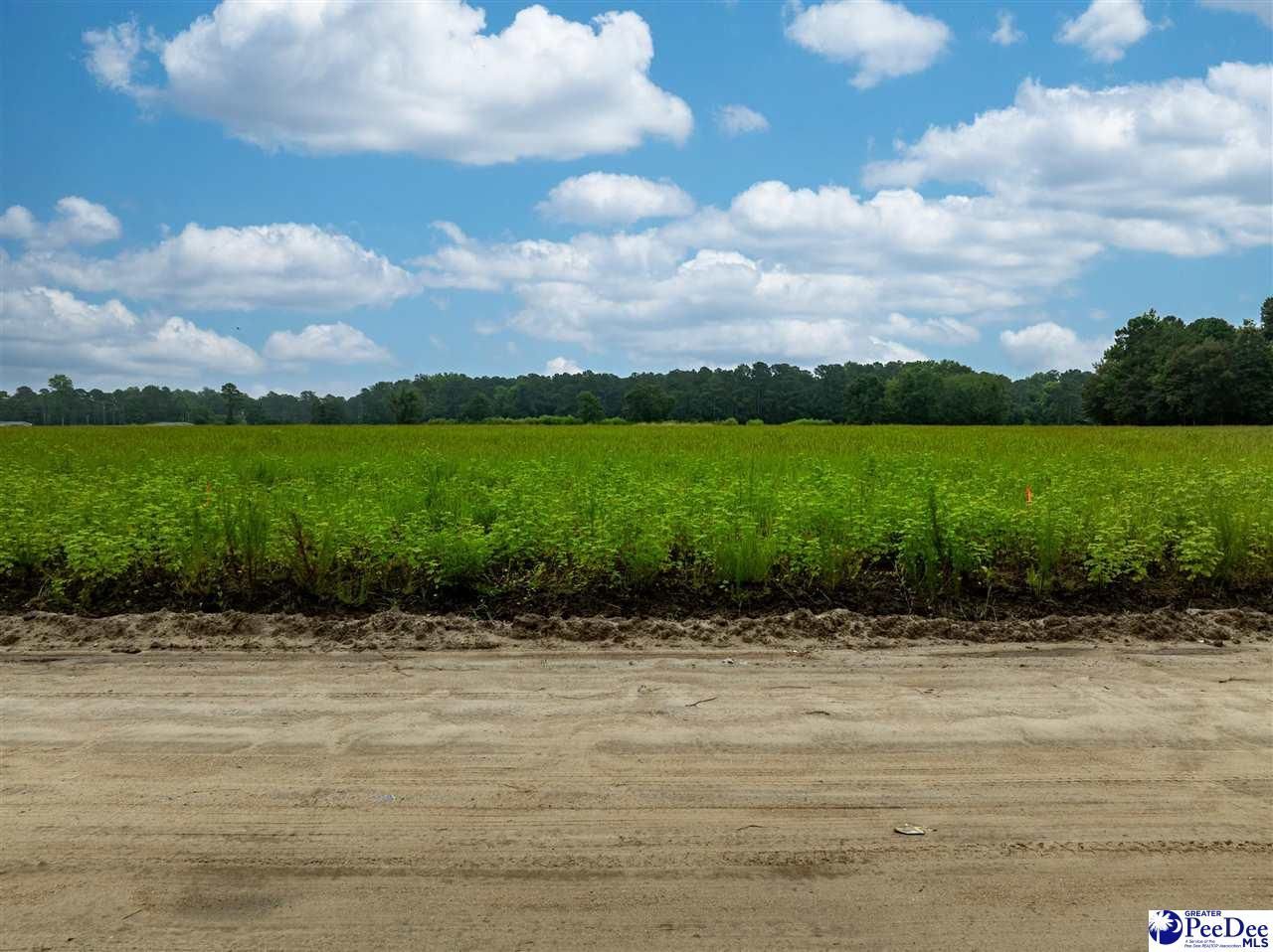 Lot 5 Tansy Rd Photo 4