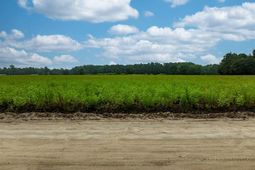 Lot 5 Tansy Rd photo 4