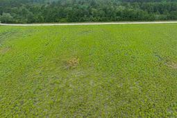 Lot 6 Tansy Rd photo 4