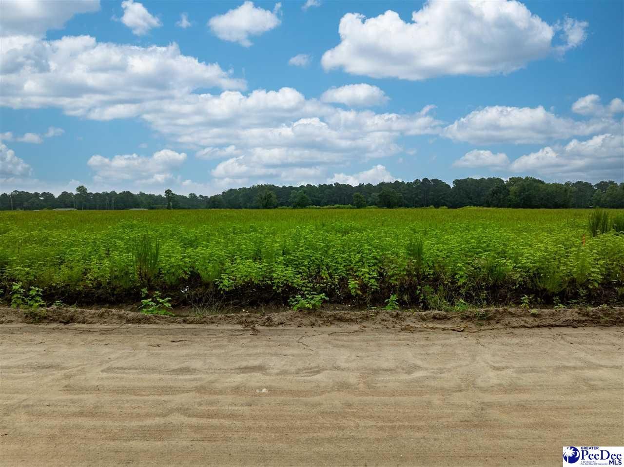 Lot 6 Tansy Rd Photo 4