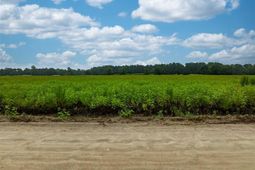 Lot 6 Tansy Rd photo 4