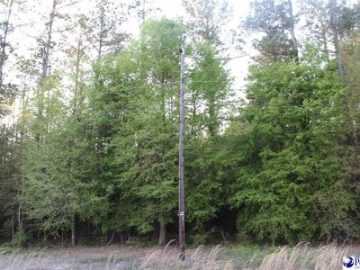 Lot 3 Reds Landing, Andrews, SC 29510