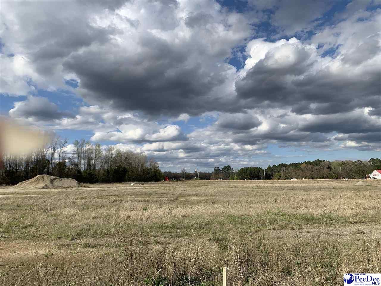 Tbd E Palmetto Street Photo 10