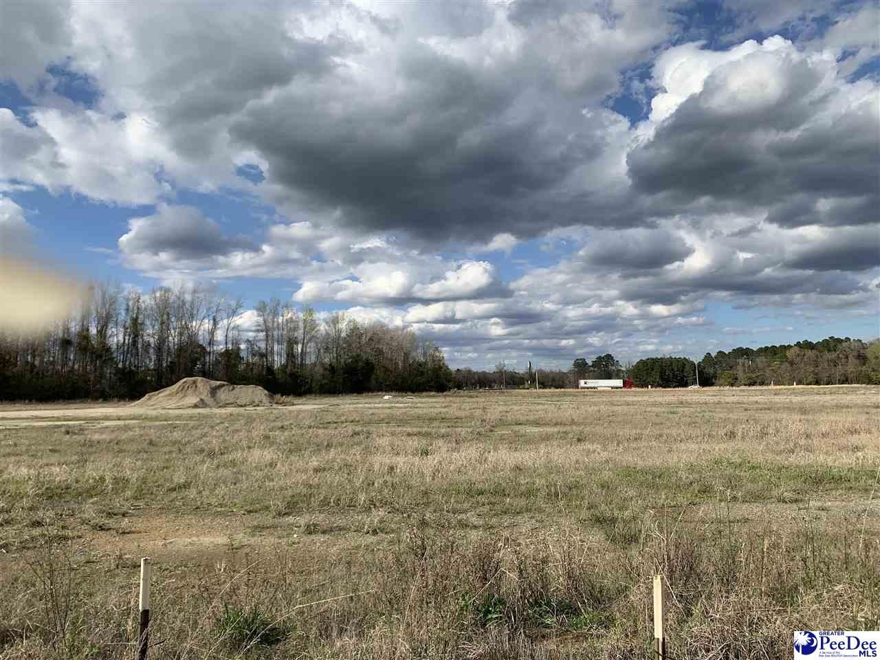 Tbd E Palmetto Street Photo 11