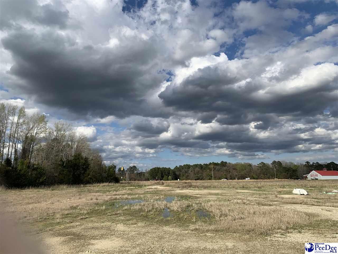 Tbd E Palmetto Street Photo 12